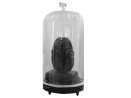 Elektealite MyBubble | V�ders�kert skydd f�r Movingheads | IP65 klassat